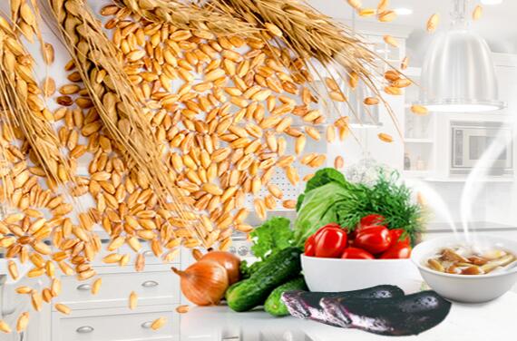 ?珠海醫(yī)院飯?zhí)?食堂配送承包公司應(yīng)該如何去選擇